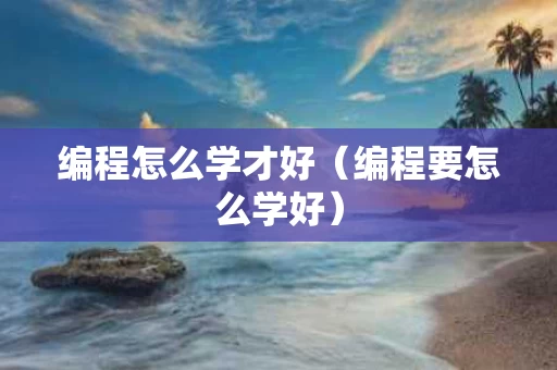 编程怎么学才好（编程要怎么学好）