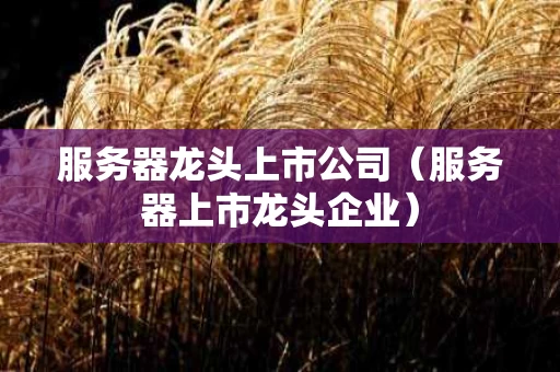 服务器龙头上市公司（服务器上市龙头企业）
