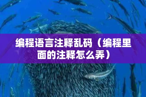 编程语言注释乱码（编程里面的注释怎么弄）