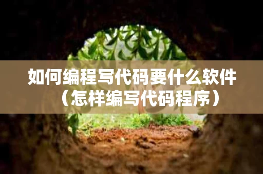 如何编程写代码要什么软件（怎样编写代码程序）
