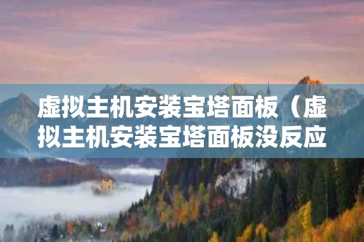 虚拟主机安装宝塔面板（虚拟主机安装宝塔面板没反应）