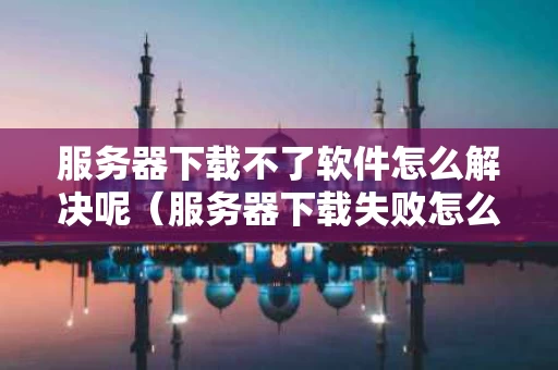 服务器下载不了软件怎么解决呢（服务器下载失败怎么回事）