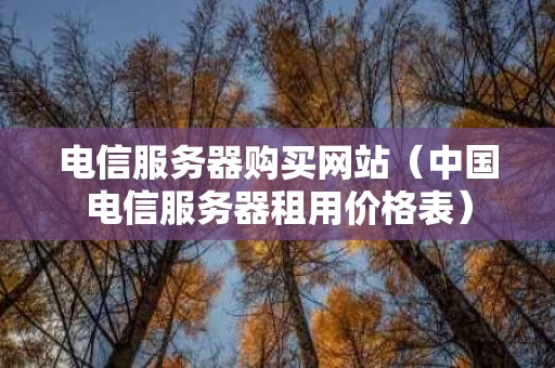 电信服务器购买网站（中国电信服务器租用价格表）