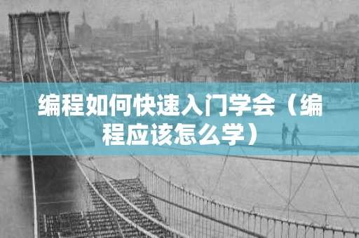 编程如何快速入门学会（编程应该怎么学）