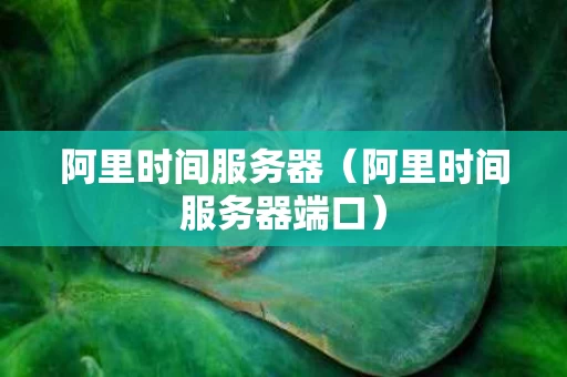 阿里时间服务器（阿里时间服务器端口）