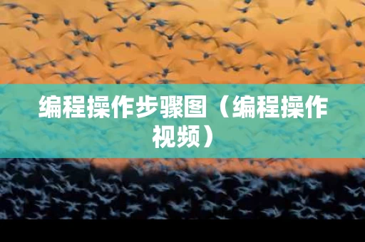 编程操作步骤图（编程操作视频）