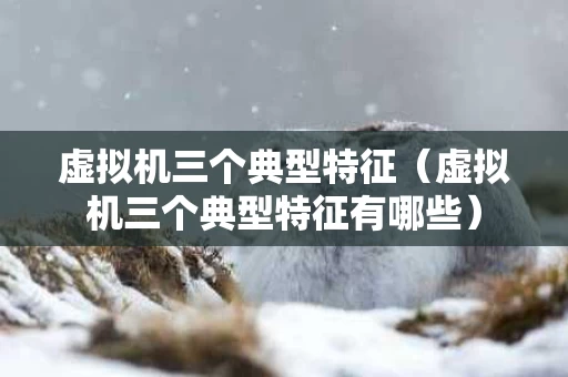 虚拟机三个典型特征（虚拟机三个典型特征有哪些）