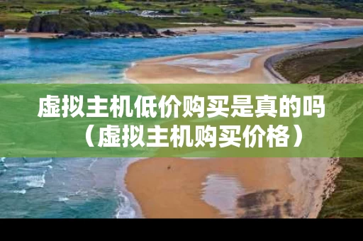 虚拟主机低价购买是真的吗（虚拟主机购买价格）