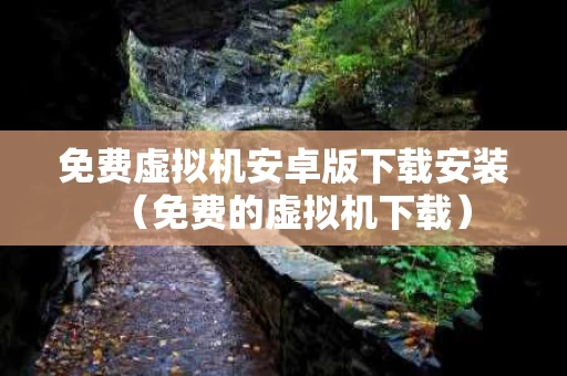 免费虚拟机安卓版下载安装（免费的虚拟机下载）