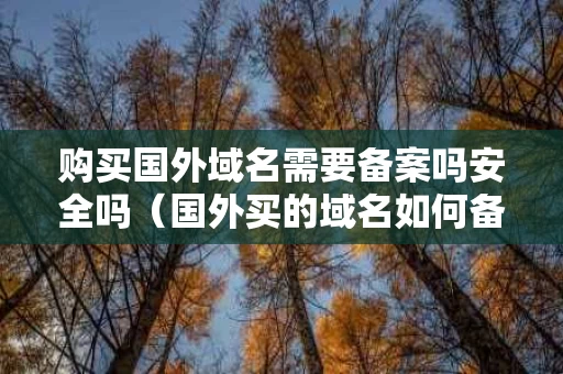 购买国外域名需要备案吗安全吗（国外买的域名如何备案）