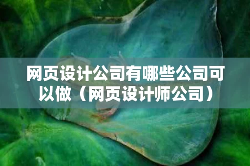 网页设计公司有哪些公司可以做（网页设计师公司）