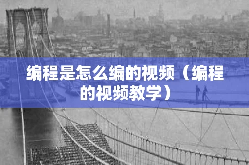 编程是怎么编的视频（编程的视频教学）