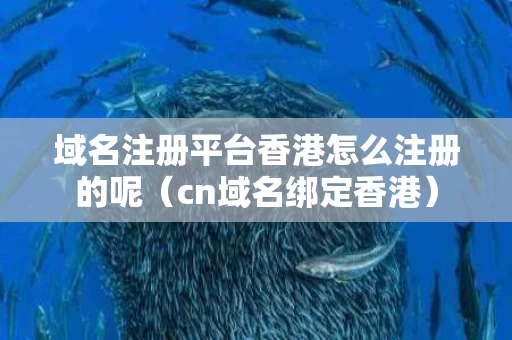 域名注册平台香港怎么注册的呢（cn域名绑定香港）