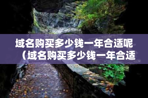 域名购买多少钱一年合适呢（域名购买多少钱一年合适呢知乎）