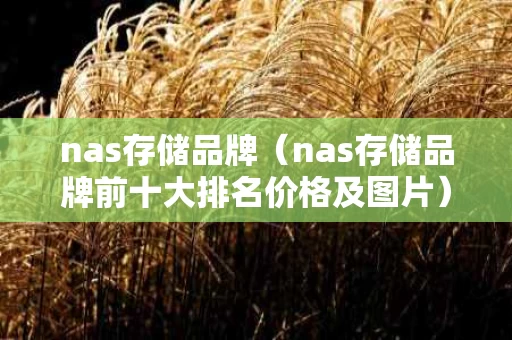 nas存储品牌（nas存储品牌前十大排名价格及图片）