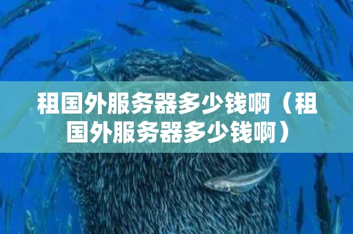 租国外服务器多少钱啊（租国外服务器多少钱啊）