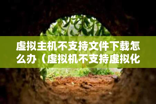 虚拟主机不支持文件下载怎么办（虚拟机不支持虚拟化）