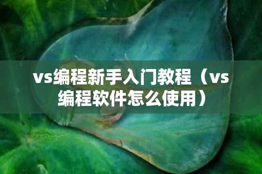 vs编程新手入门教程（vs编程软件怎么使用）