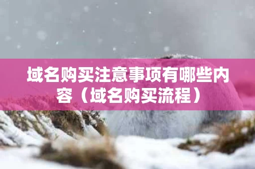 域名购买注意事项有哪些内容（域名购买流程）