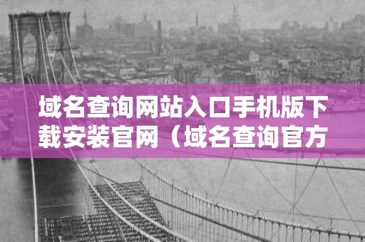 域名查询网站入口手机版下载安装官网（域名查询官方网站）