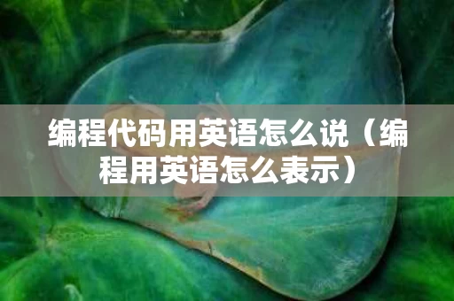 编程代码用英语怎么说（编程用英语怎么表示）