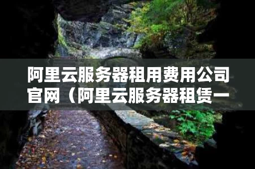 阿里云服务器租用费用公司官网（阿里云服务器租赁一般多少钱）