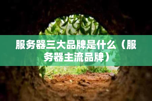 服务器三大品牌是什么（服务器主流品牌）