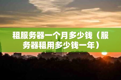 租服务器一个月多少钱（服务器租用多少钱一年）