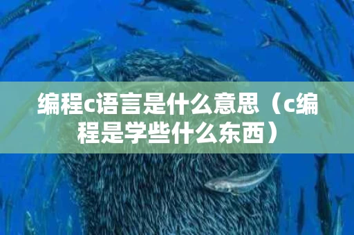 编程c语言是什么意思（c编程是学些什么东西）