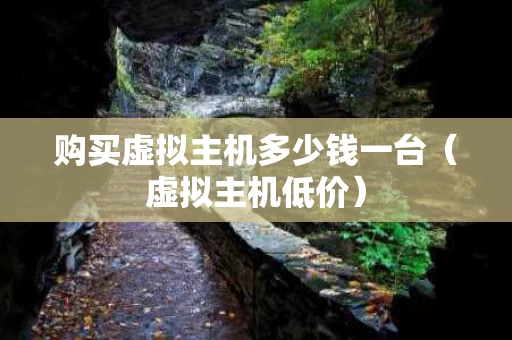 购买虚拟主机多少钱一台（虚拟主机低价）