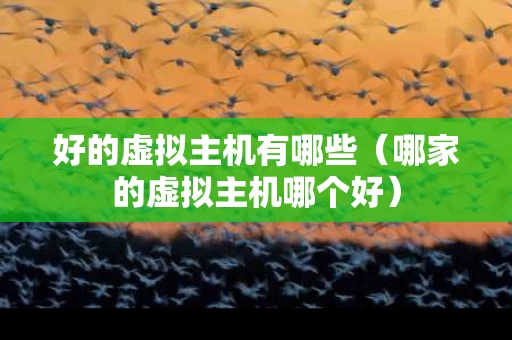 好的虚拟主机有哪些（哪家的虚拟主机哪个好）