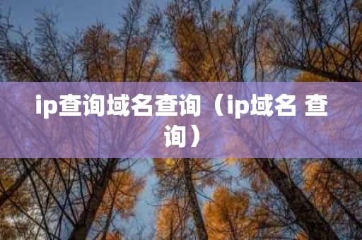 ip查询域名查询（ip域名 查询）
