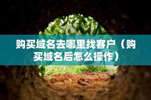 购买域名去哪里找客户（购买域名后怎么操作）