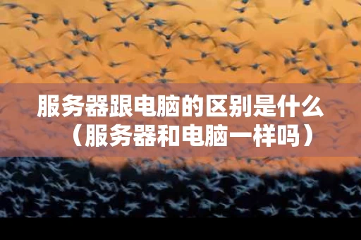 服务器跟电脑的区别是什么（服务器和电脑一样吗）