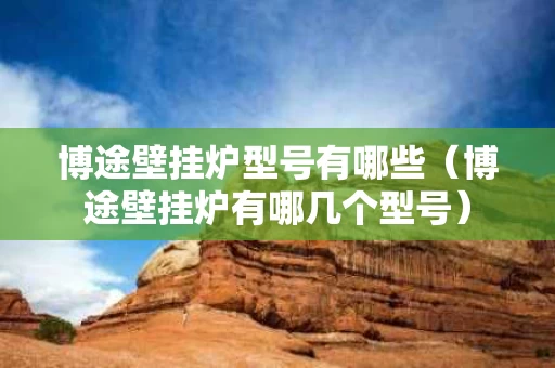 博途壁挂炉型号有哪些（博途壁挂炉有哪几个型号）