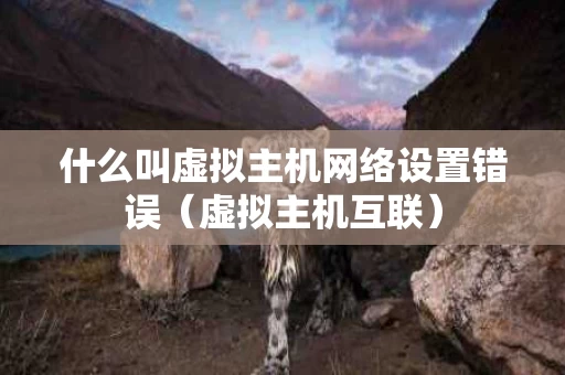 什么叫虚拟主机网络设置错误（虚拟主机互联）
