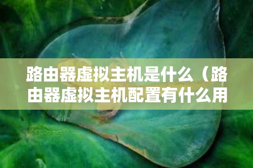 路由器虚拟主机是什么（路由器虚拟主机配置有什么用）