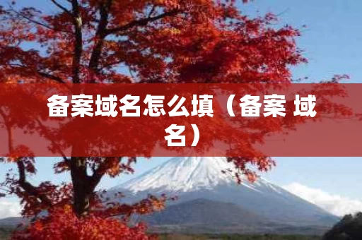 备案域名怎么填（备案 域名）