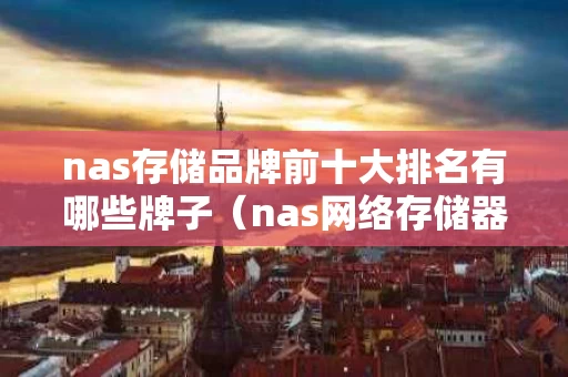 nas存储品牌前十大排名有哪些牌子（nas网络存储器哪个好品牌好）