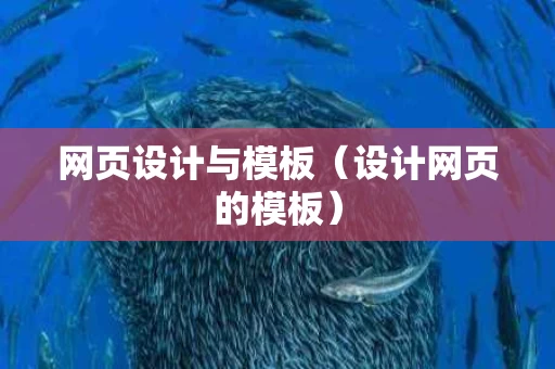网页设计与模板（设计网页的模板）