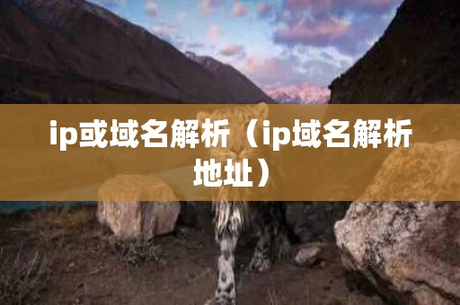 ip或域名解析（ip域名解析地址）