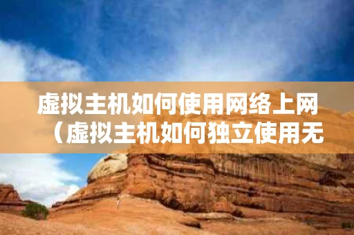 虚拟主机如何使用网络上网（虚拟主机如何独立使用无线网）