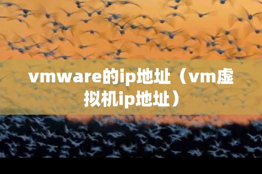 vmware的ip地址（vm虚拟机ip地址）