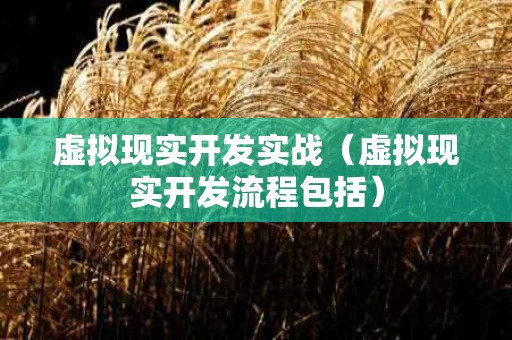 虚拟现实开发实战（虚拟现实开发流程包括）
