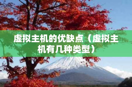 虚拟主机的优缺点（虚拟主机有几种类型）