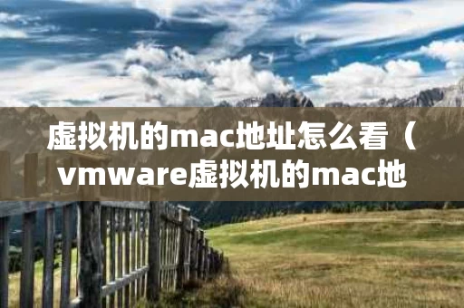 虚拟机的mac地址怎么看（vmware虚拟机的mac地址）