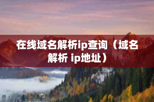 在线域名解析ip查询（域名解析 ip地址）
