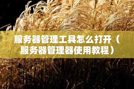 服务器管理工具怎么打开（服务器管理器使用教程）