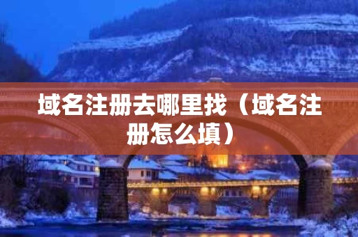 域名注册去哪里找（域名注册怎么填）