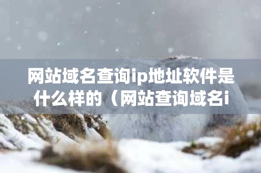 网站域名查询ip地址软件是什么样的（网站查询域名ip查询）
